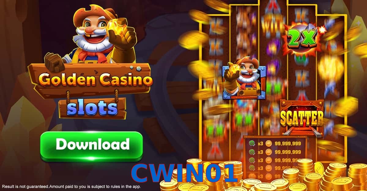 CWIN01