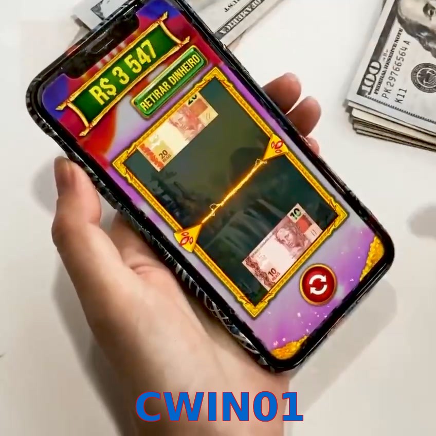 CWIN01