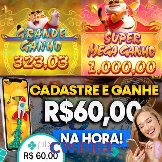 CWIN01