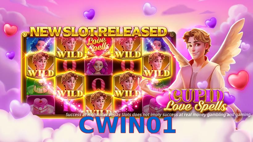 CWIN01