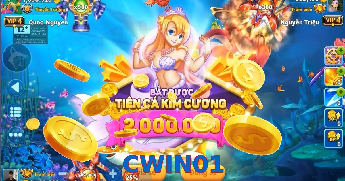 CWIN01