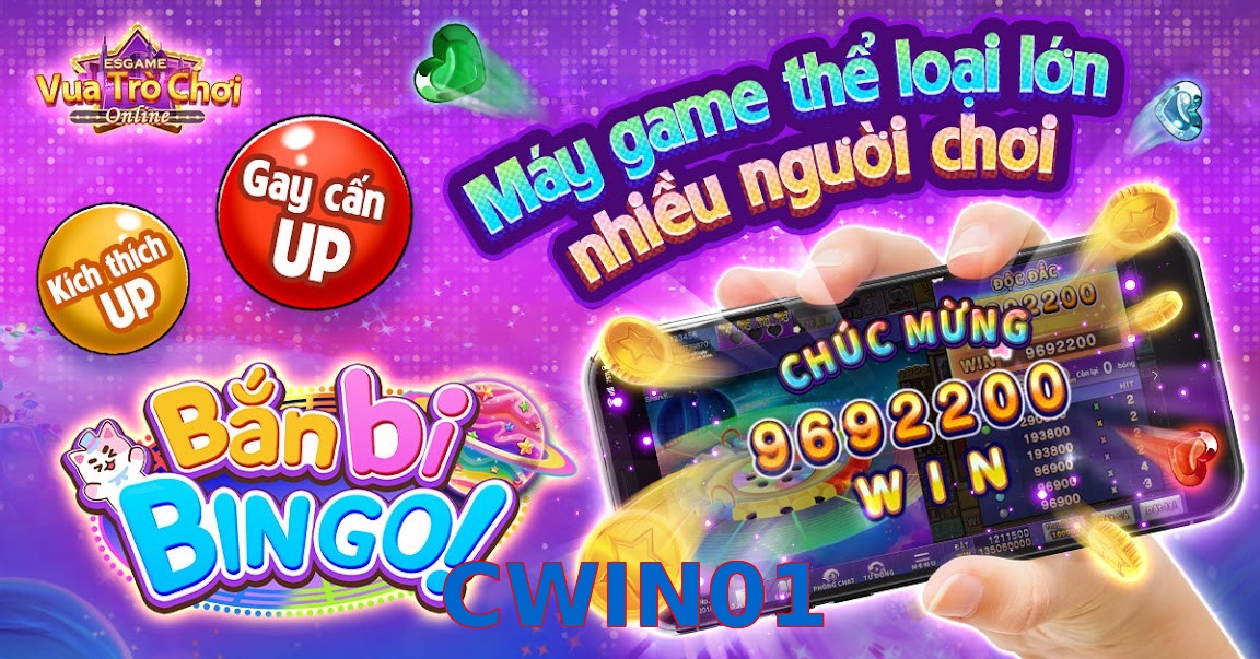 CWIN01