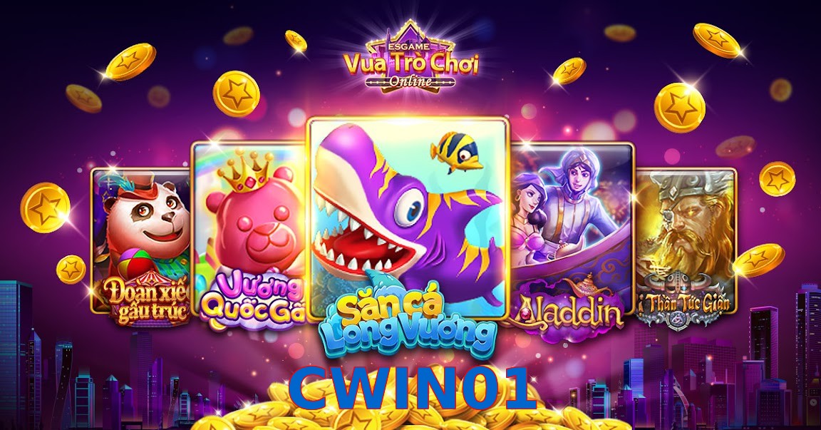 CWIN01