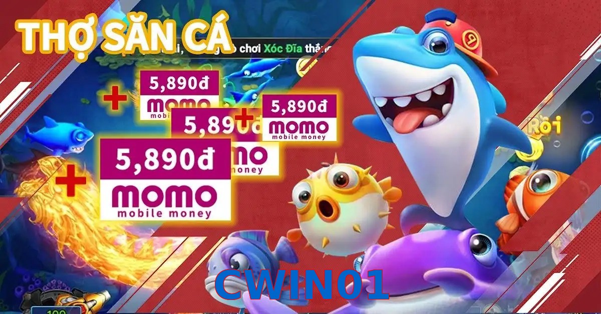 CWIN01