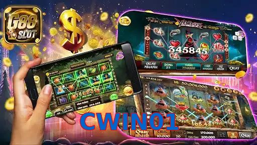 CWIN01