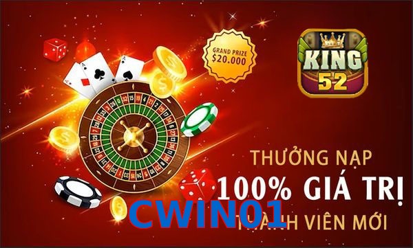 CWIN01