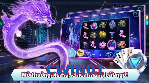 CWIN01