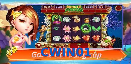CWIN01