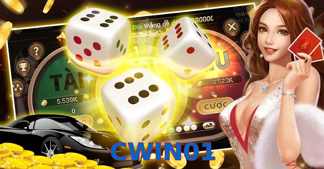 CWIN01