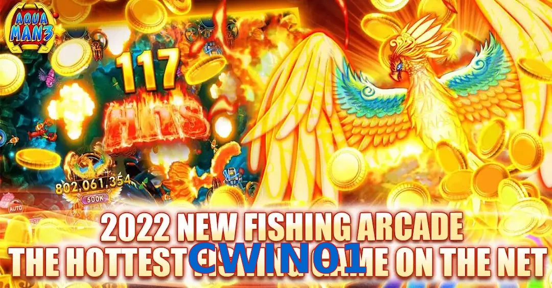CWIN01