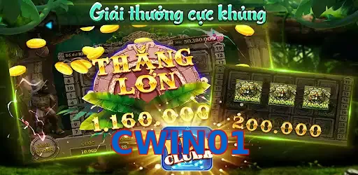CWIN01