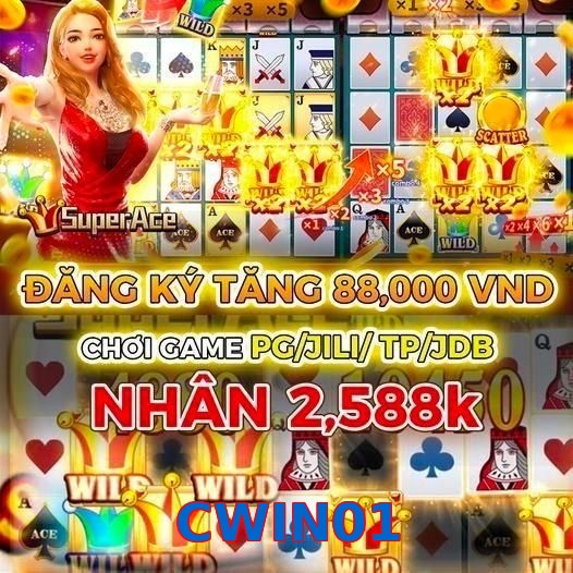 CWIN01