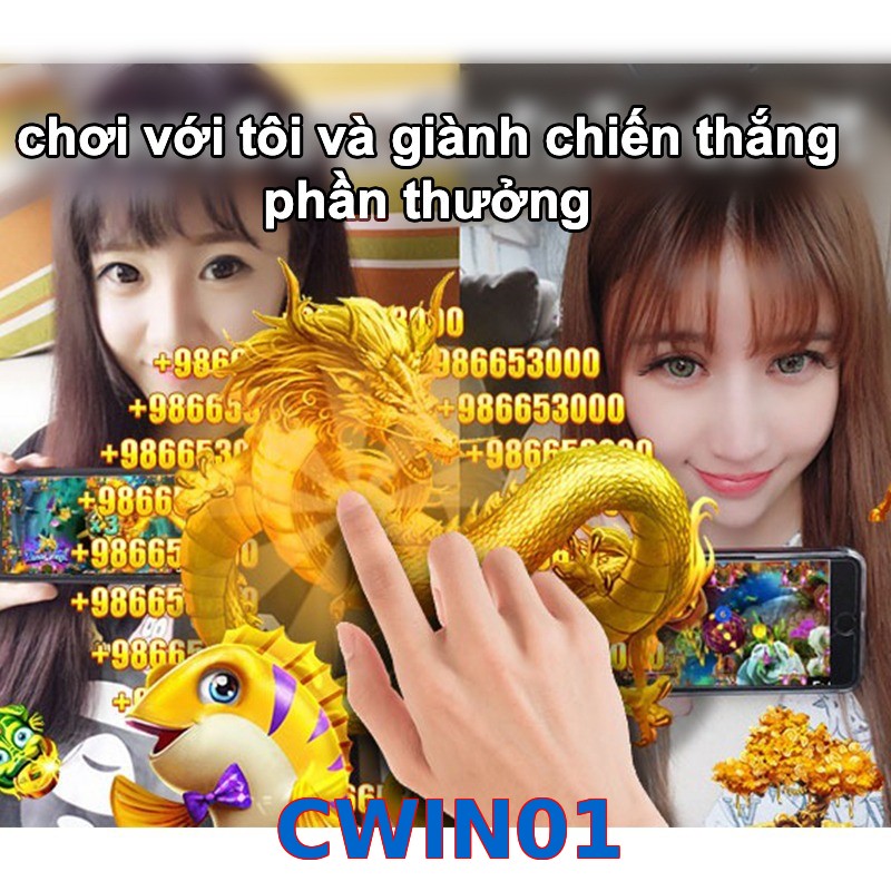 CWIN01