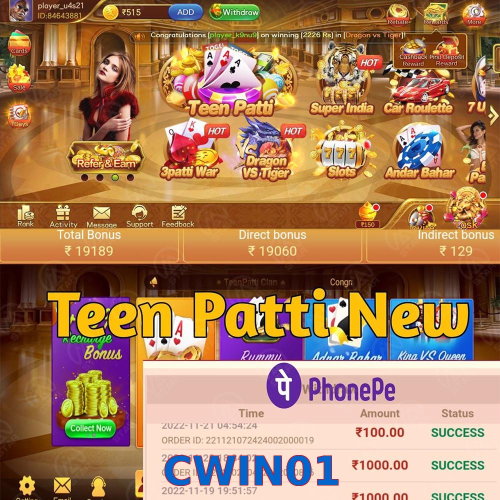 CWIN01